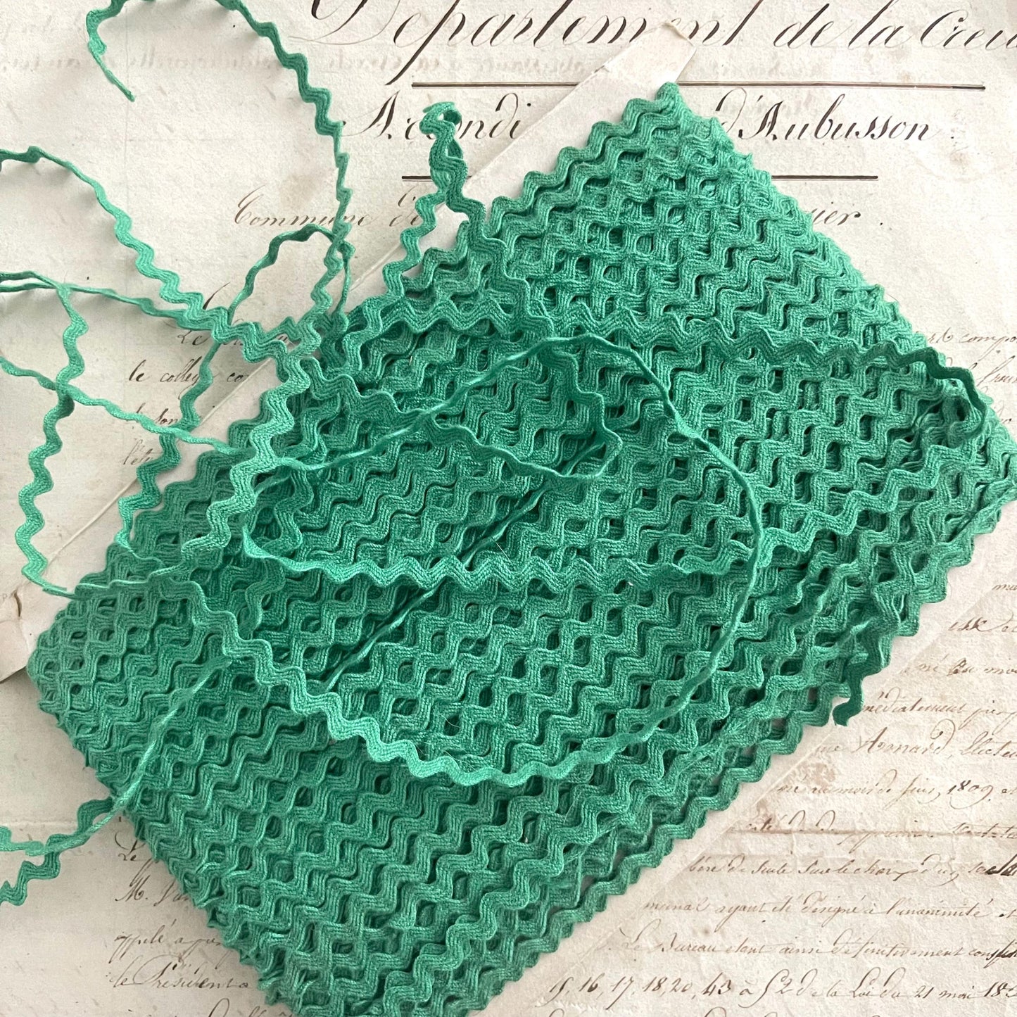 French Vintage New Old Stock Ric Rac