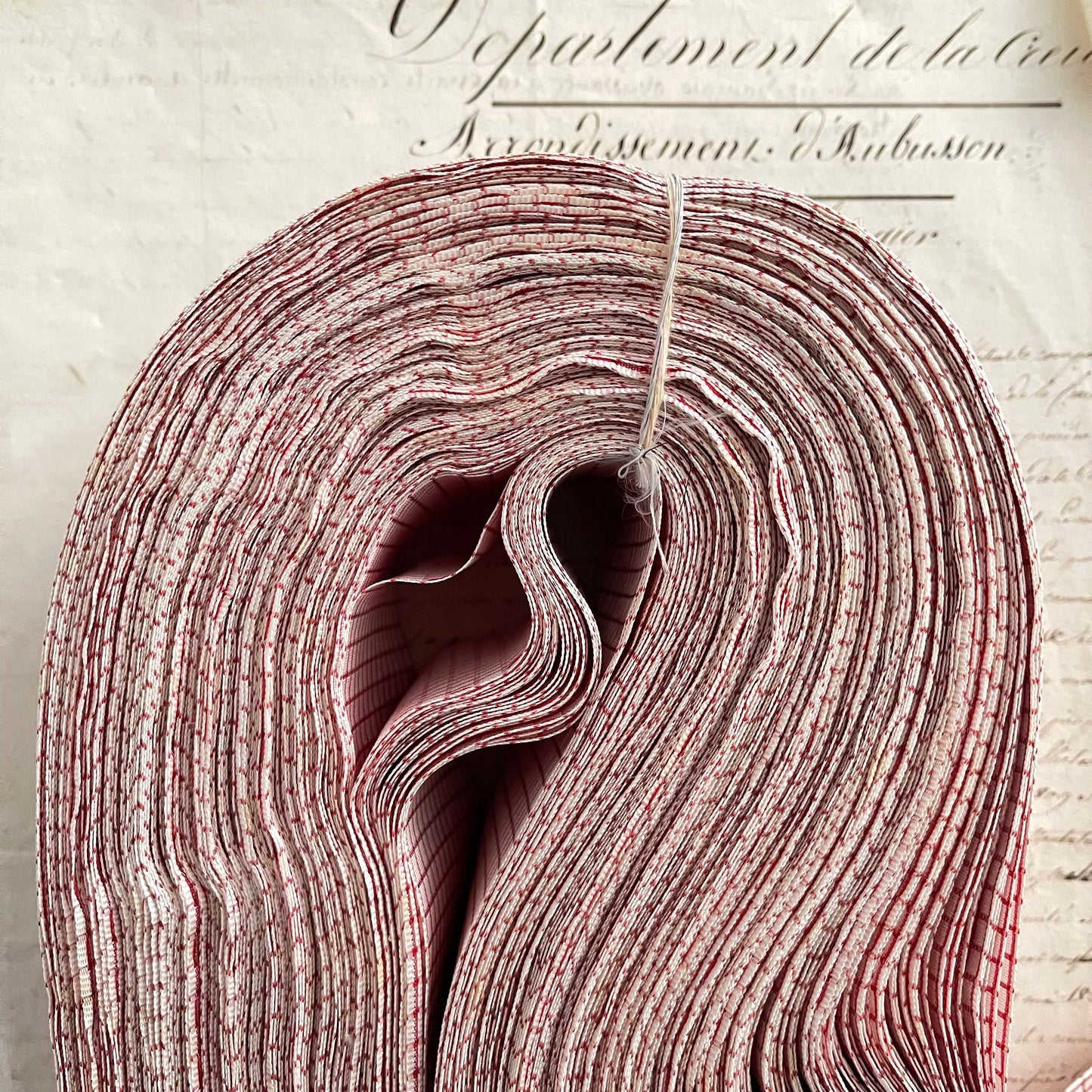5 Yards French Antique Vichy Satin Cotton Ribbon, Passementerie