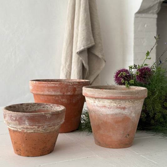 Trio of French Vintage Terracotta Plant Pots