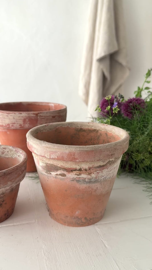 Trio of French Vintage Terracotta Plant Pots